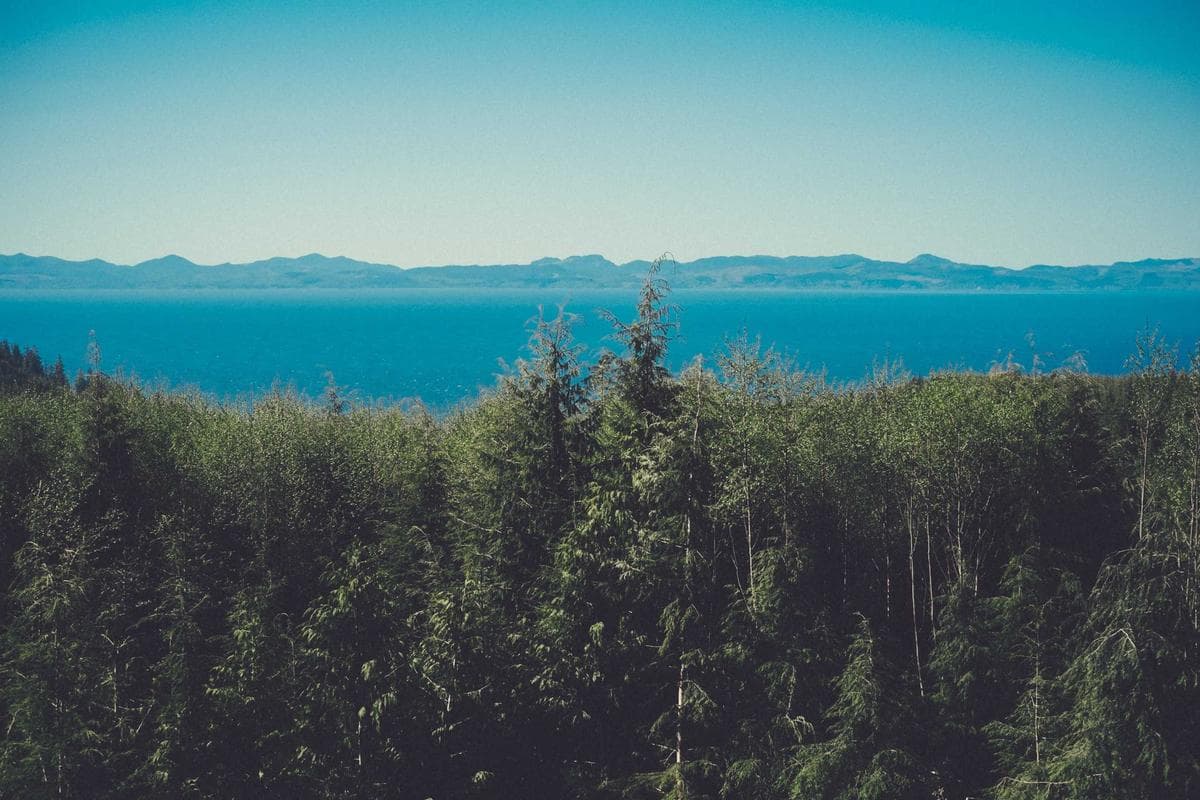 Sample featured image for test post 1