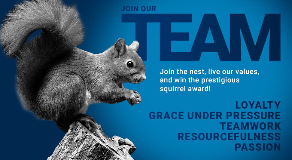 Careers page header